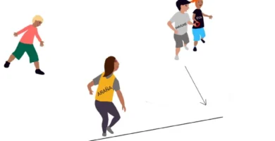 Juego de la Araña