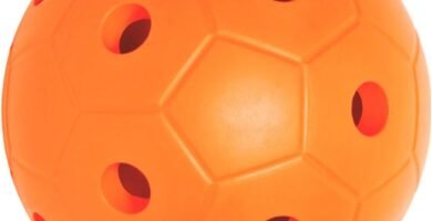 Pelota blanda sonora