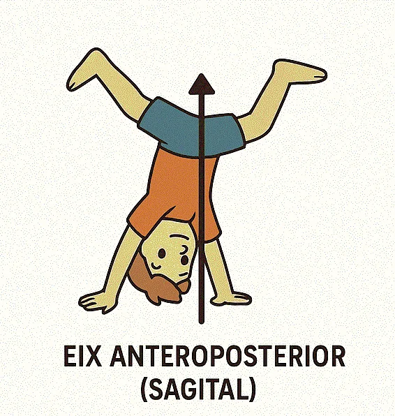 Eje anteroposterior (sagital):